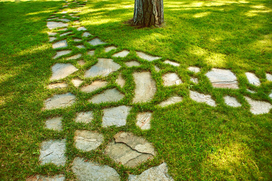 The Stone block walk path in the park with green grass background