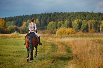 Young woman horseriding in sunset on the fields. Close up