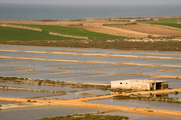 Salt lagoons on the Atlantic coast of Morocco with flamingos in winter