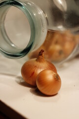 onion close - up on the background of a glass jar