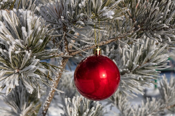 Close up shot of a single red shiny Christmas ball decoration hanging off a Christmas fir tree outside, partially covered in snow. Tree is also covered with snow. Winter holiday decoration concept