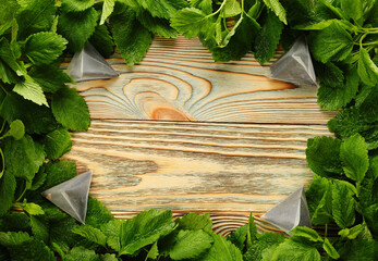 Tea background on a wooden table, with fresh mint frame and tea bags.Mint leaf frame.