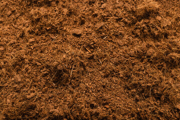 Coconut substrate background.