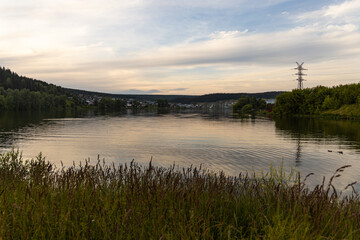 Pond with reflections and yellow feather grass and and reed is in the summer evening