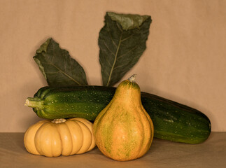 Still life of vegetables pumpkin and zucchini