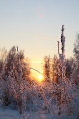 winter susnset, landscape