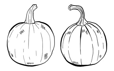 Set of Hand drawn Pumpkins, Vector Illustrations