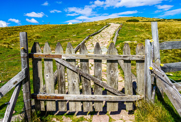 close up of an old fence