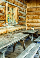typical bavarian beergarden
