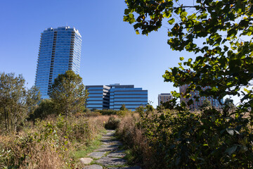 Mill River Park along the Rippowam River in Downtown Stamford Connecticut with Skyscrapers