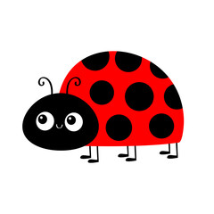 Lady bug ladybird insect. Ladybug icon. Cute cartoon kawaii funny baby character. Side view. Happy Valentines Day. Flat design. White background. Isolated.