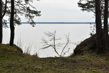 summer coast of the Volga River