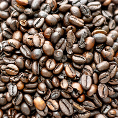 cup surrounded by coffee beans