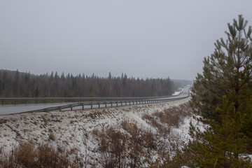Obraz premium Foggy track in the taiga. Autumn cold foggy day in Siberia. The route ran through the taiga, you can see a bridge across the river.