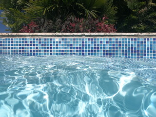swimming pool with blue squares border and green background