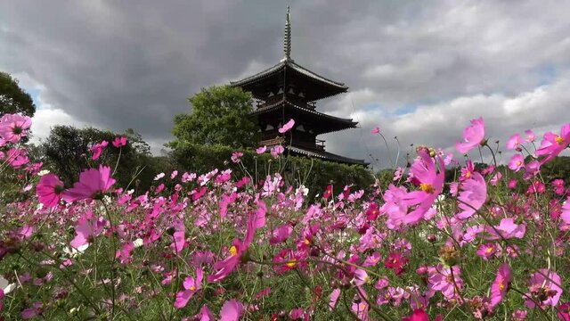 Hokki-ji Temple - Ikaruga, Japan