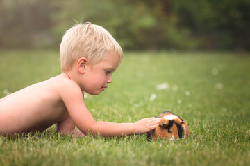 little child with a guinea pig pet on green grass