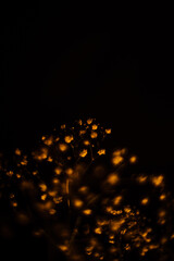 light bulb flickering