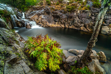 Waterfall in the forest.
Caldeiras do Castro, A Coruña, Spain.