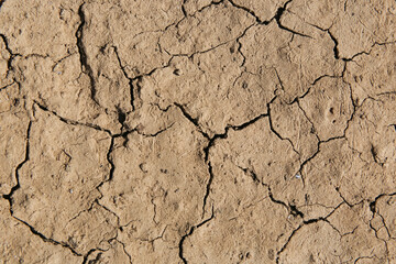 background yellow desert macro cracks