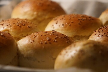 Burger Buns 1