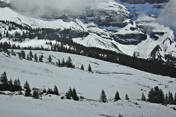 Beautiful view of swiss alps in winter and spring on the famous sightseeing train glacier express, Switzerland. View from the running train to Jungfrau. Blurred focus.