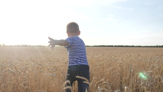 boy run across a wheat field in the park. happy family kid dream concept. boy running across a yellow field in the park. kid son run dream. happy family and childhood concept fun