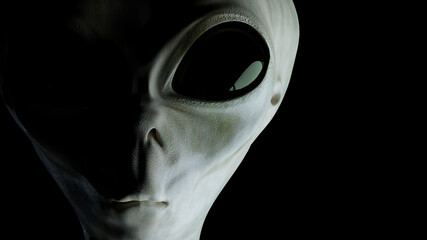Close-up view on alien's face. 3D rendered illustration. © vchalup