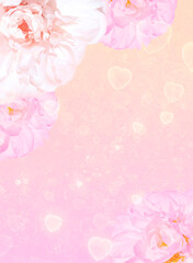 Beautiful peonies on a blurred background with bokeh effect. Valentine's day, birthday - concepts