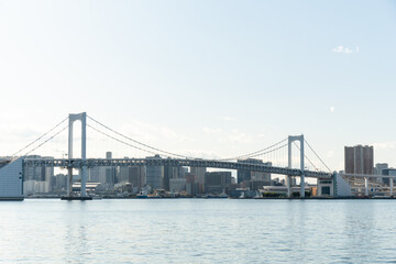 Fototapeta na wymiar レインボーブリッジ from 豊洲(豊洲 江東区 東京都 2020/11)