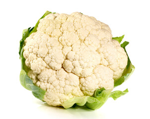 Fresh Vegetables - Whole Cauliflower on white Background Isolated