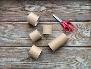Fototapeta na wymiar empty toilet paper roll, cut in two, kids craft.