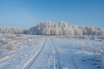 Fototapeta na wymiar road to the winter forest in the snow