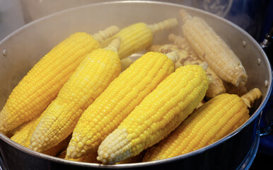 sweet corn with steam on saucepan, street food vendor, cuisine and travel foodie concept. Boiled the corns with a bit of sugar or salt to get a delicious taste.