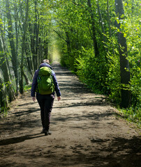 Hiker backpacker person walking in green trees tunnel lane. Female on walk in nature in spring.