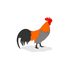Full color rooster logo