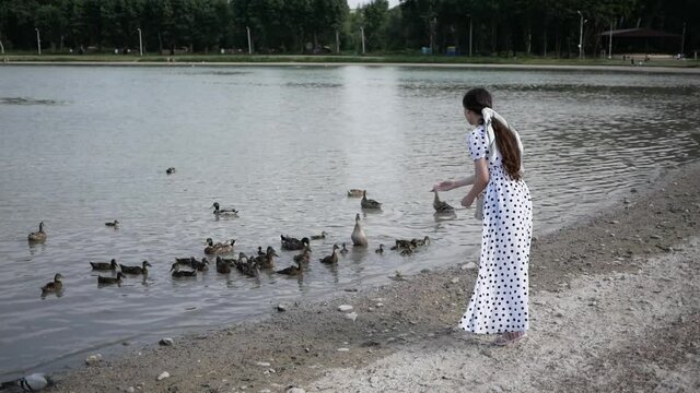 young brunette woman in white dress feeds ducks on lake. summer. view from back