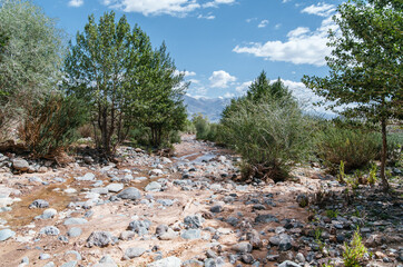 Photo of Summer Sandy Hills Landscape with Trees. Travel Mountain location of popular tourist attraction. View of beautiful nature Desert on Cloudy Sky Background