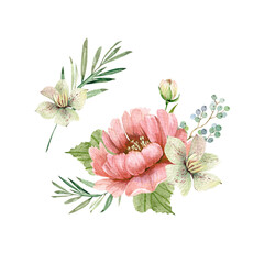 set of botanical illustrations of watercolor bouquets of pink flowers, hand painted on a white background