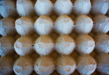 Beautiful background from the egg tray