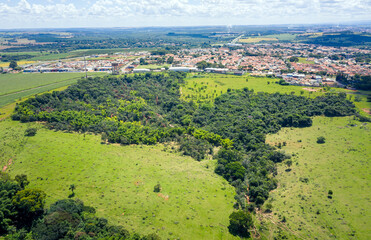 BRASIL EM FLORESTA - VOSSOROCA