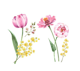 set of botanical illustrations watercolor pink spring flowers, hand painted