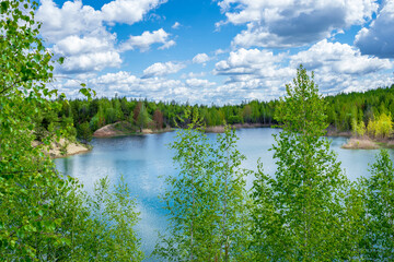 Fototapeta na wymiar Spring landscape of wild forest lake with the bright greens of the birch trees in the foreground. Background