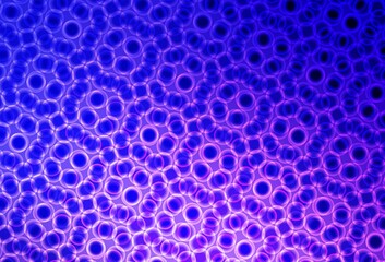 Light Pink, Blue vector background with bubbles.