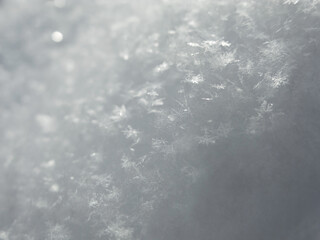Fluffy powdery white snow shining  in the sunlight