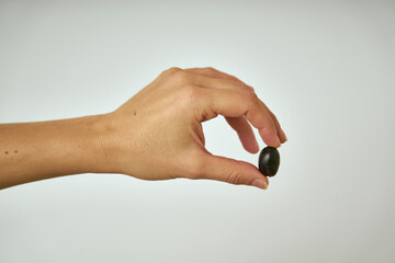 Woman's hands show black olive just picked from the olive tree, on a gray background                                      