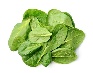 Fresh spinach with water drops