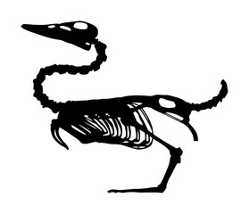 duck skeleton, black on white background