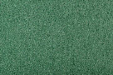Fototapeta premium green cardboard background texture