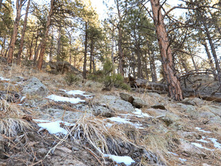 Mountain Hike In Evergreens Flatirons 